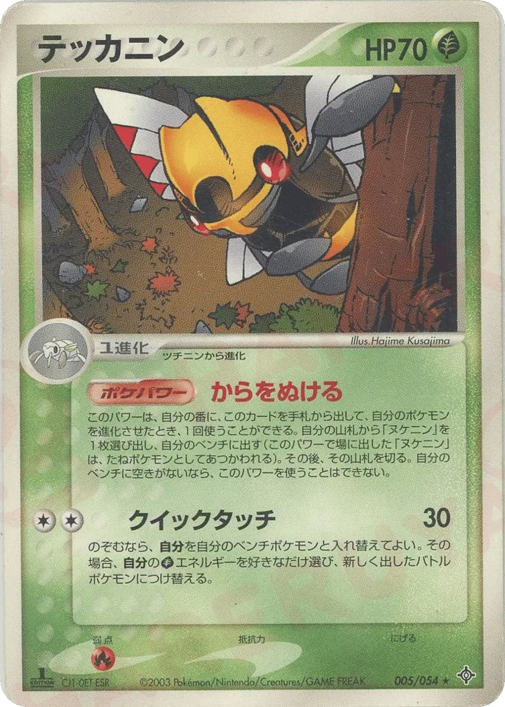 Ninjask