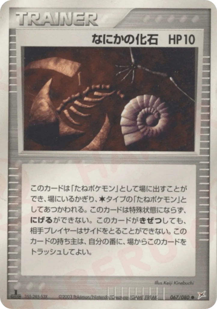 Mysterious Fossil