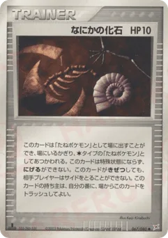 Mysterious Fossil