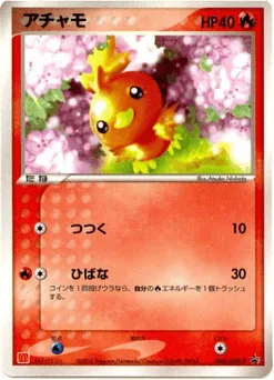 Torchic