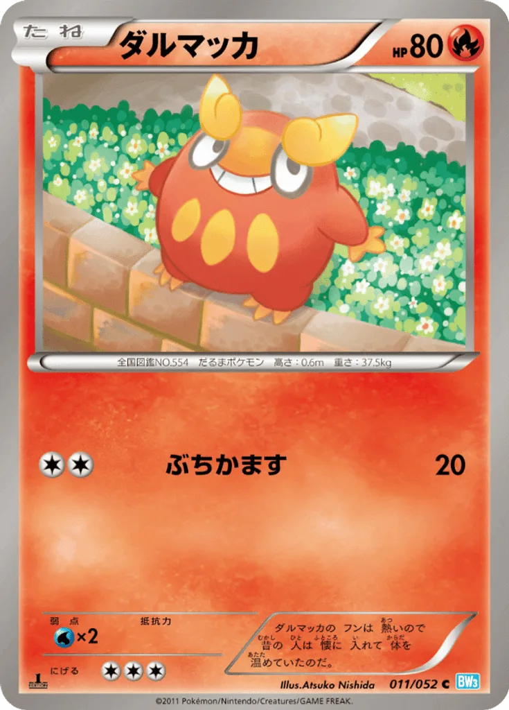 Darumaka