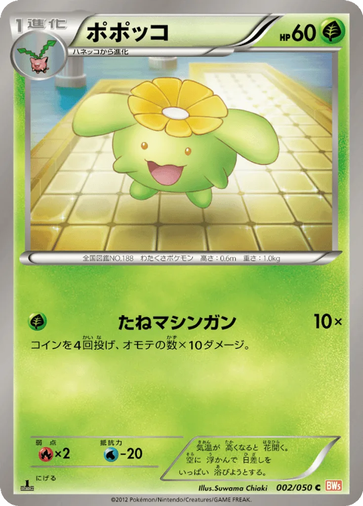 Skiploom