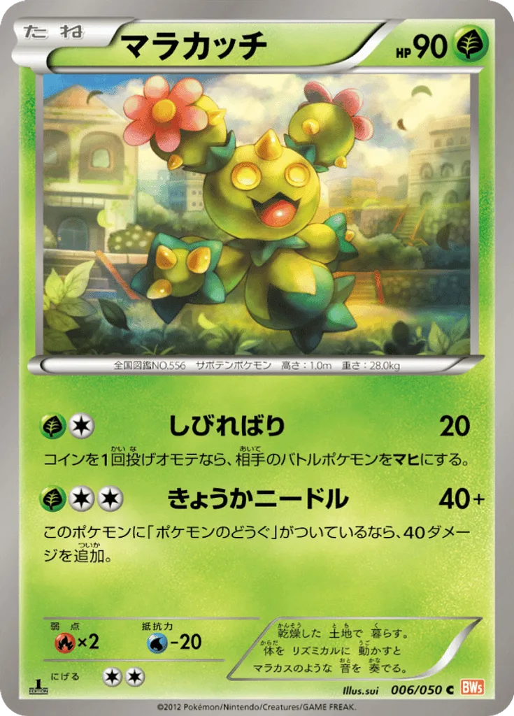 Maractus