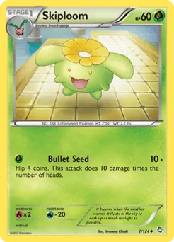 Skiploom
