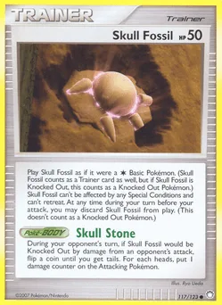 Skull Fossil