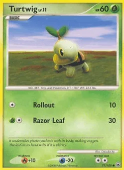 Turtwig