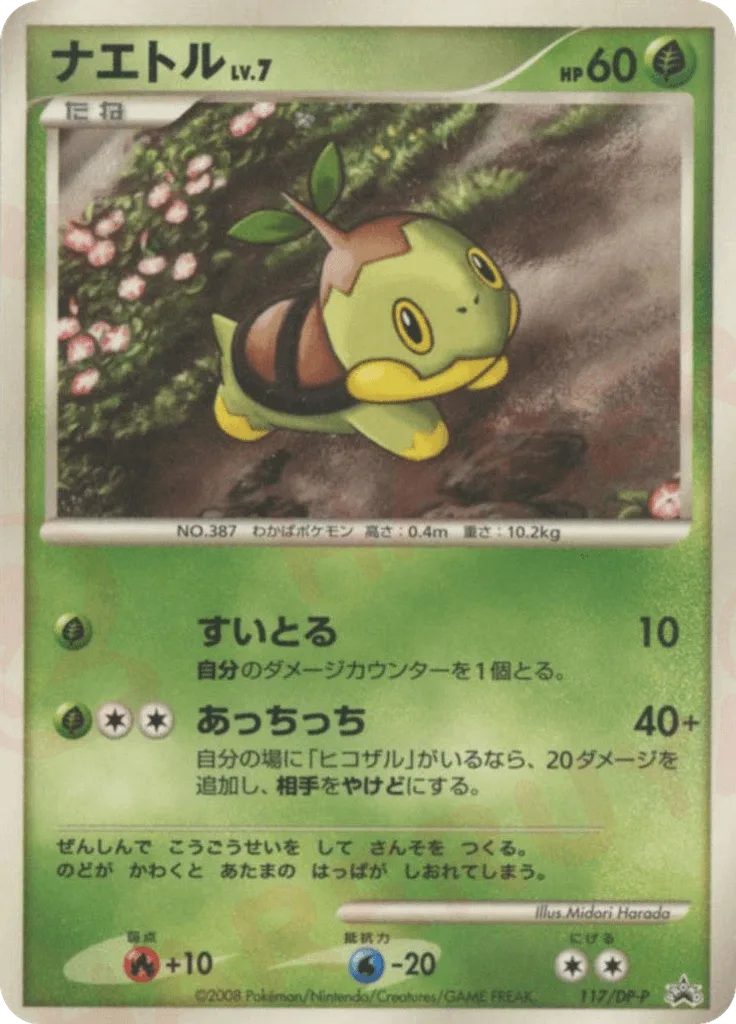 Turtwig