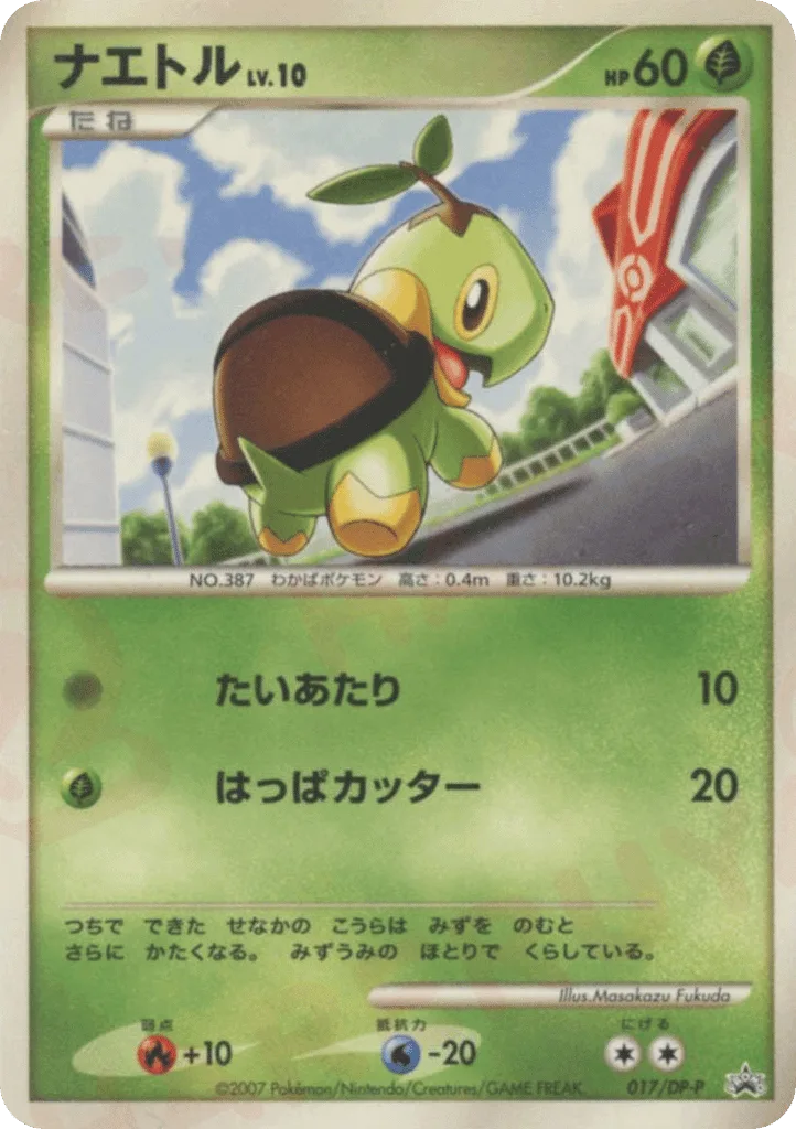 Turtwig