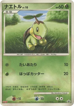 Turtwig