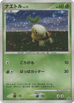 Turtwig