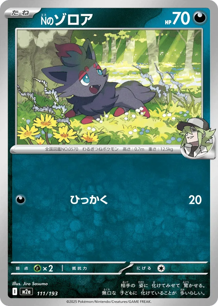N's Zorua (Energy Reverse)
