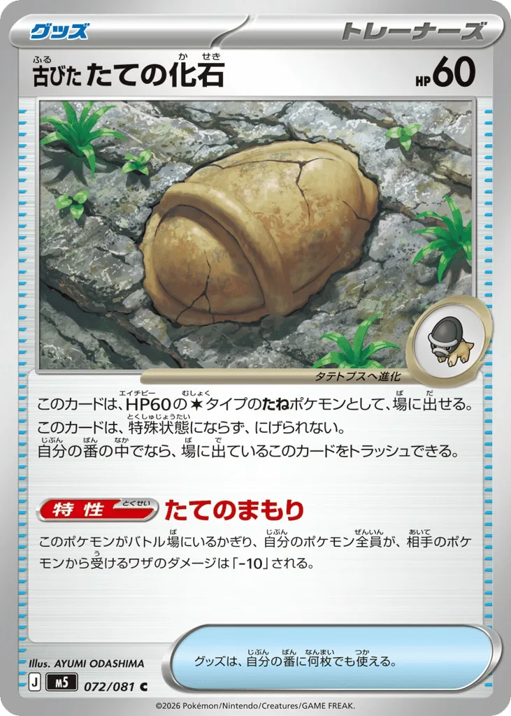 Antique Shield Fossil