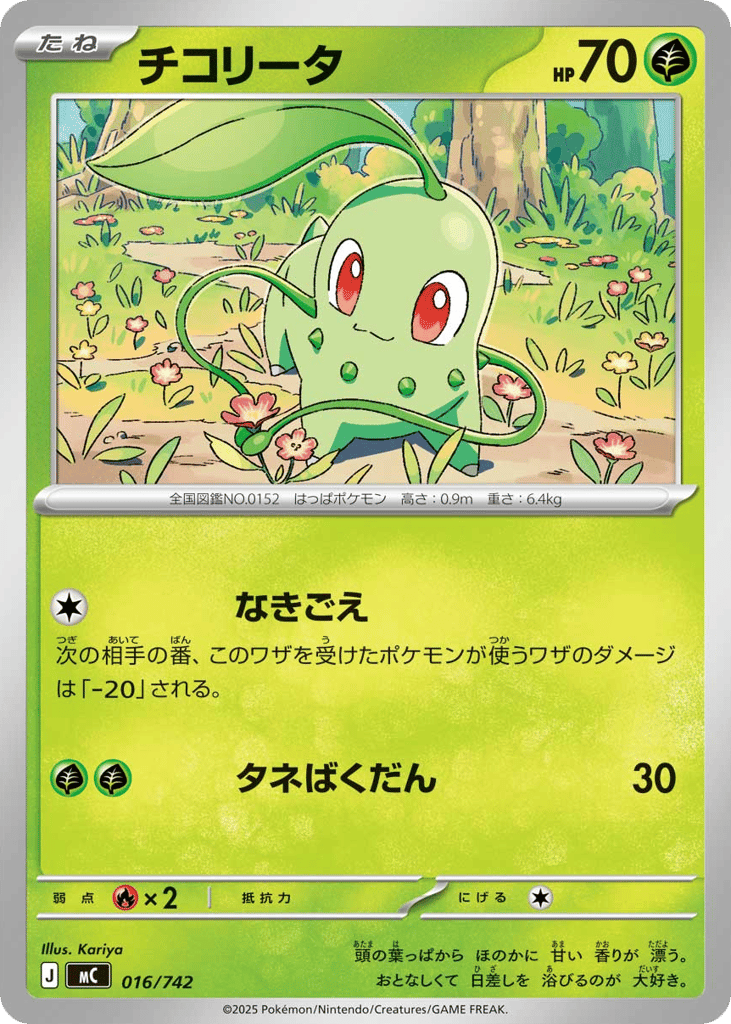Chikorita