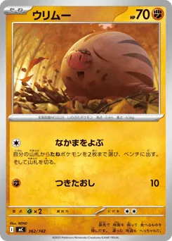 Swinub