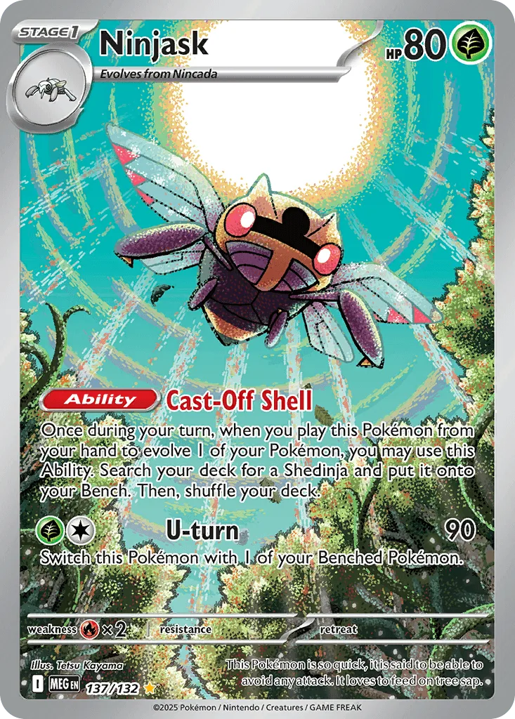 Ninjask