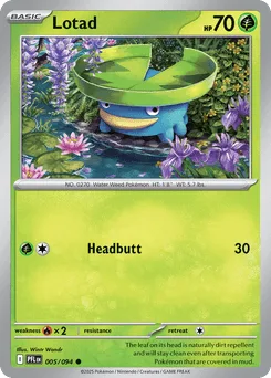 Lotad