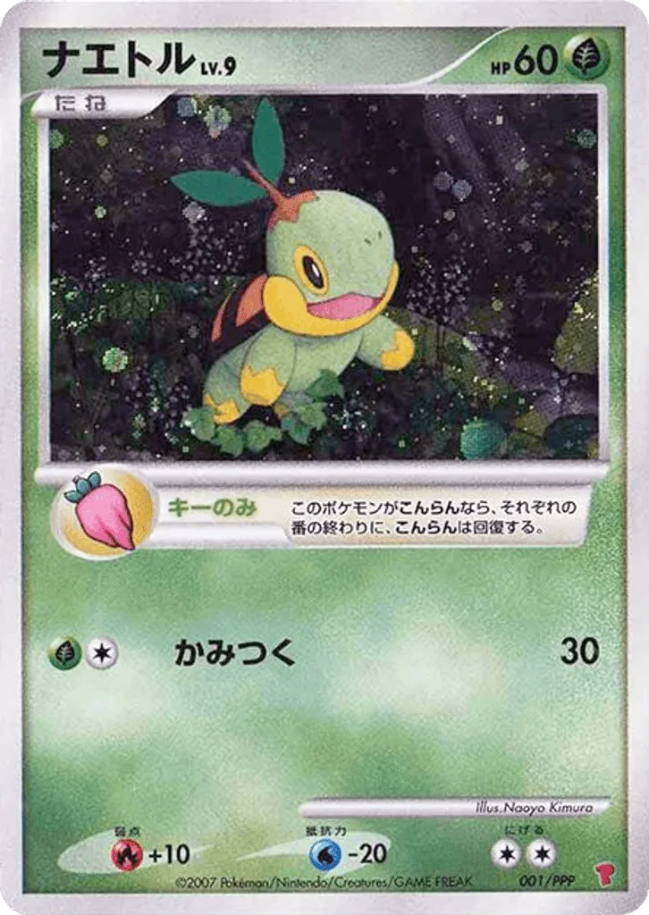 Turtwig