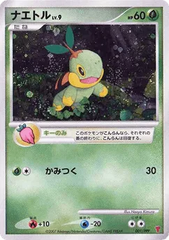 Turtwig