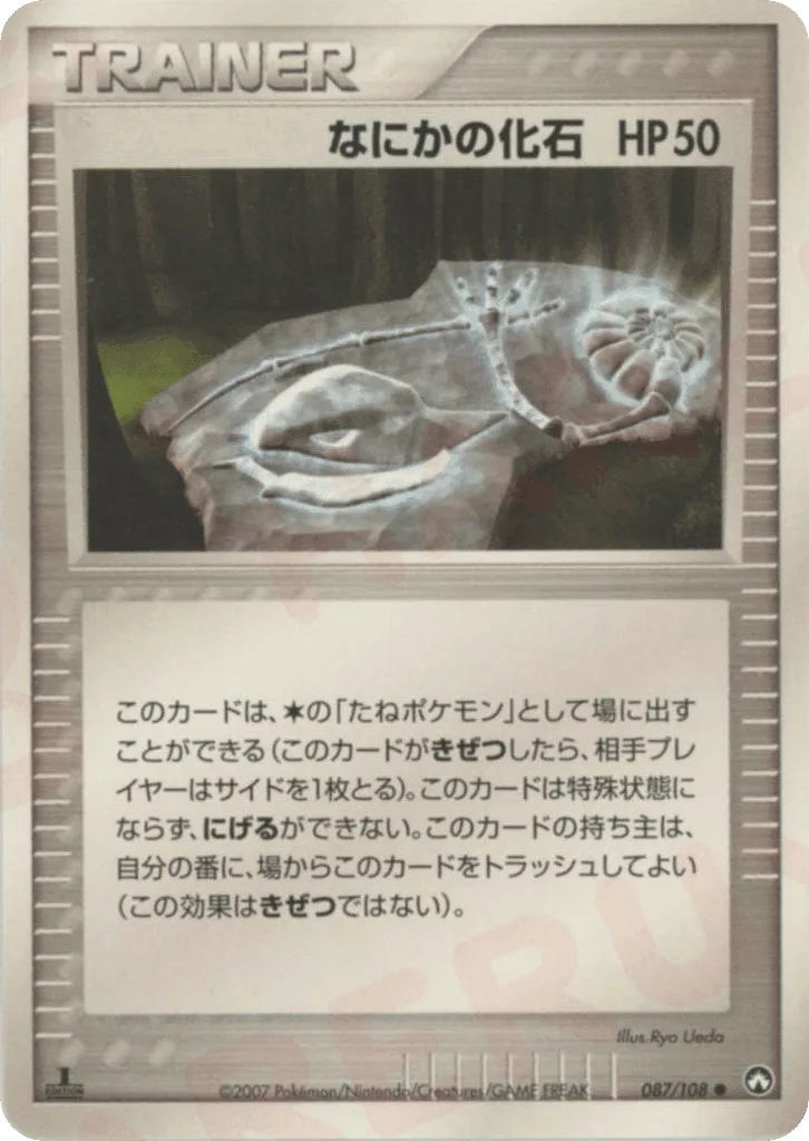 Mysterious Fossil