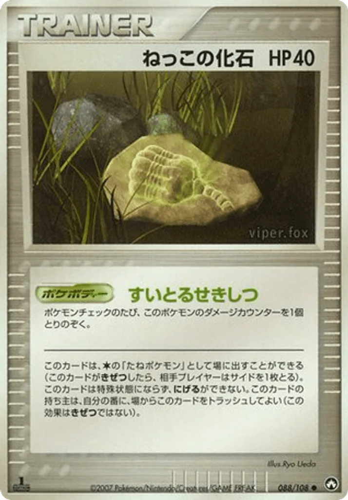Root Fossil