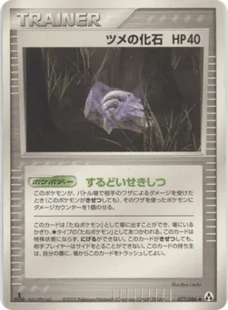 Claw Fossil