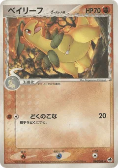 Bayleef δ