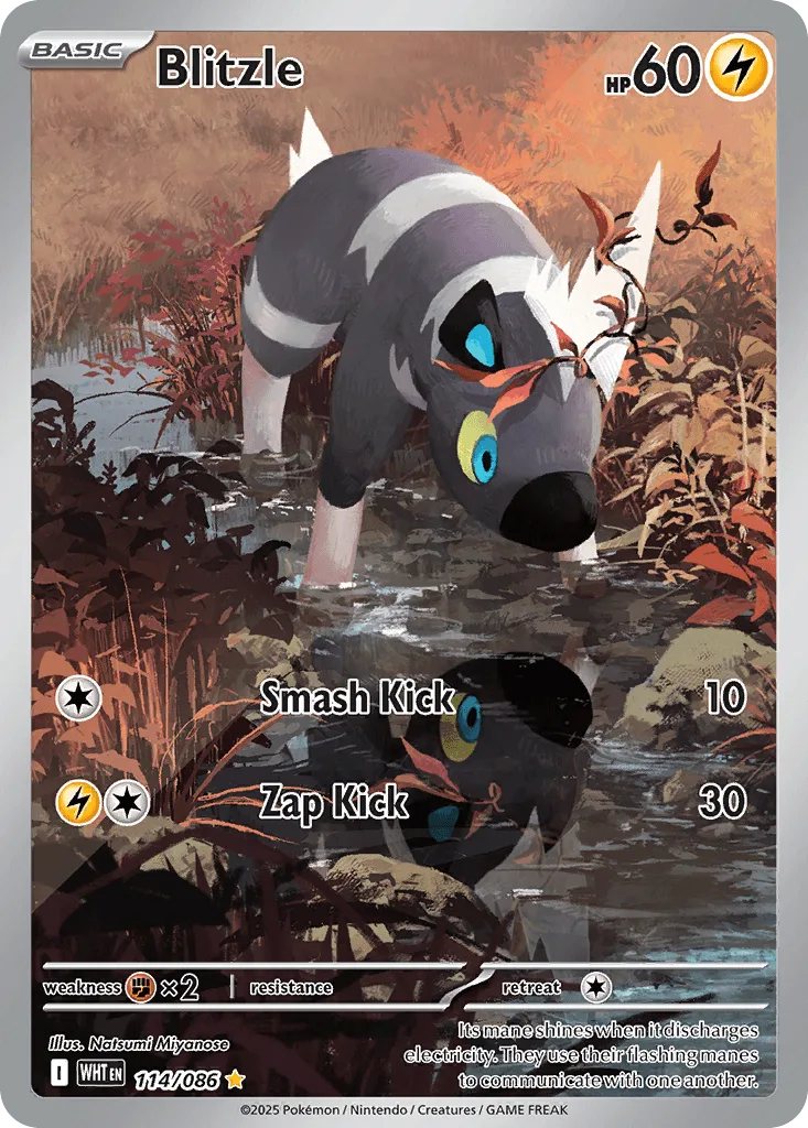 Blitzle