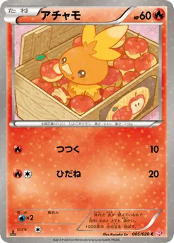 Torchic