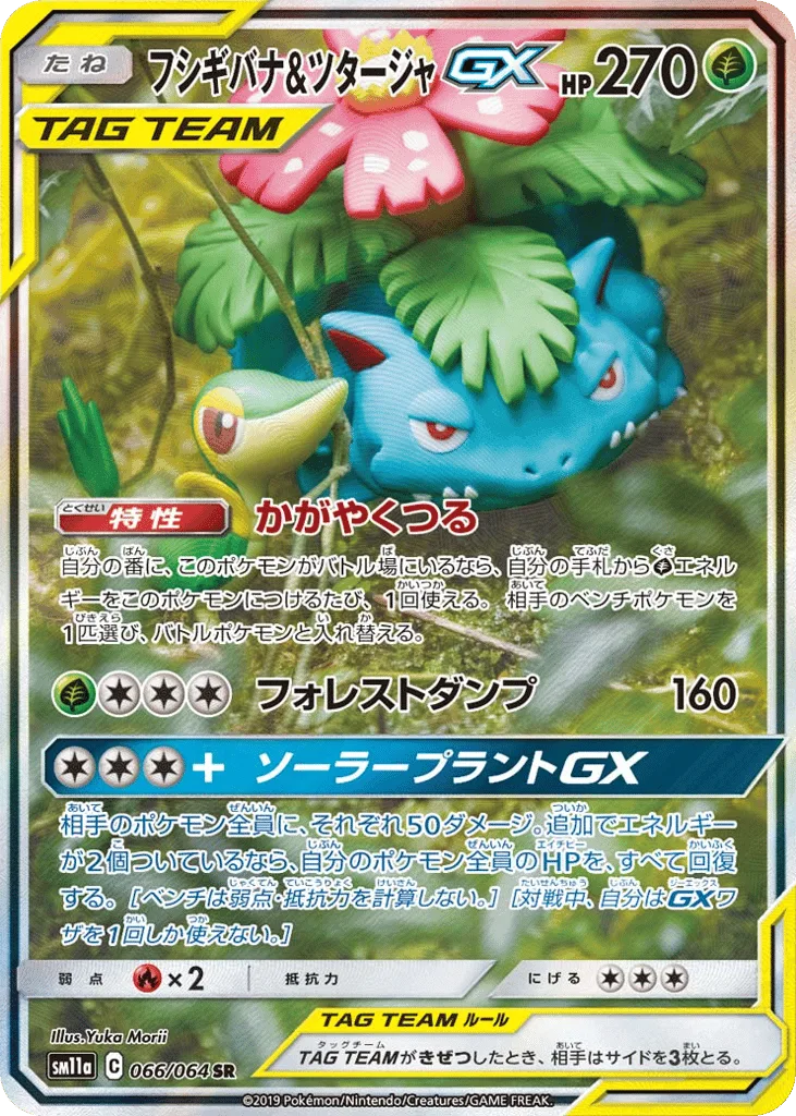 Venusaur & Snivy-GX