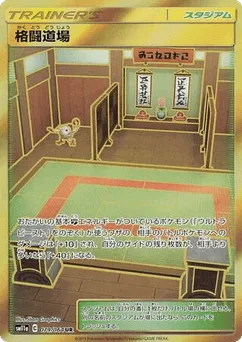 Martial Arts Dojo