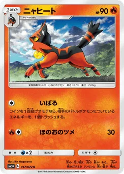 Torracat