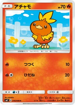 Torchic