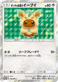 Poncho-wearing Eevee