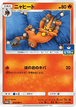 Torracat