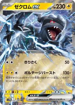 Zekrom ex