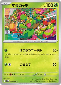 Maractus