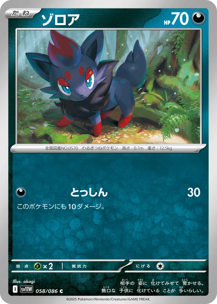 Zorua