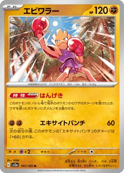 Hitmonchan (Master Ball)
