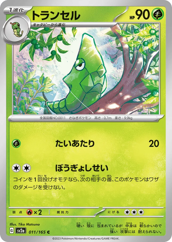 Metapod (Master Ball)