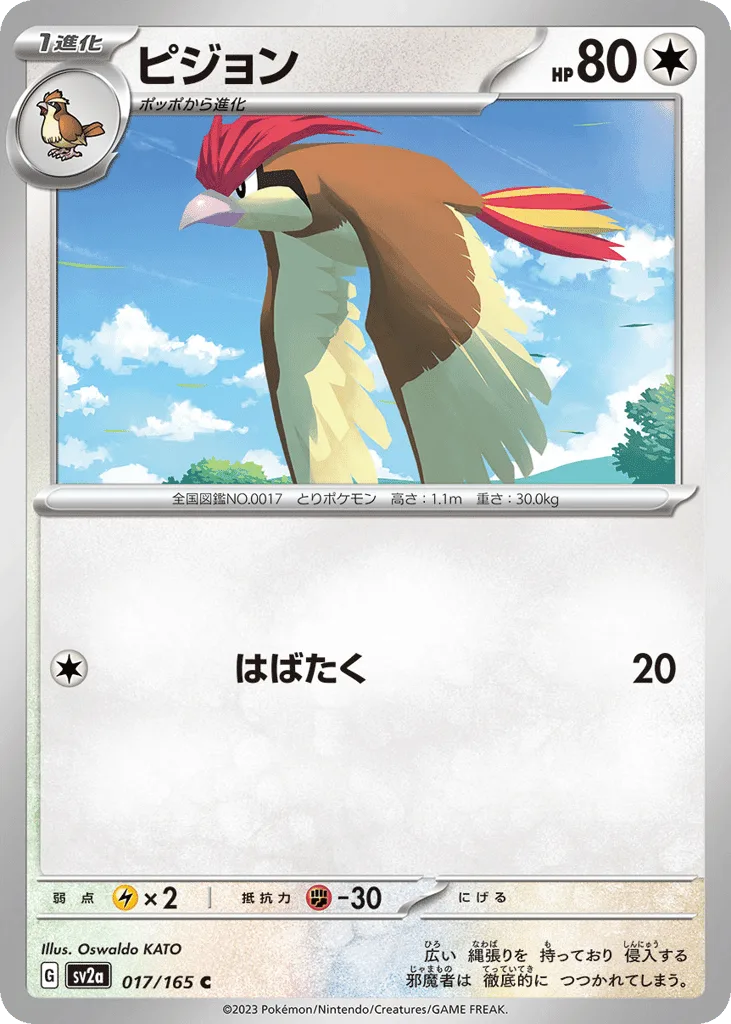 Pidgeotto (Master Ball)