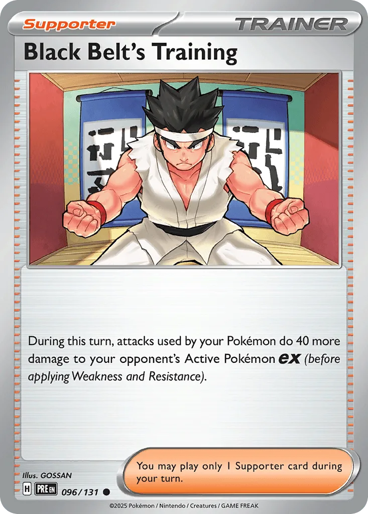 Black Belt's Training  (Poke Ball) 