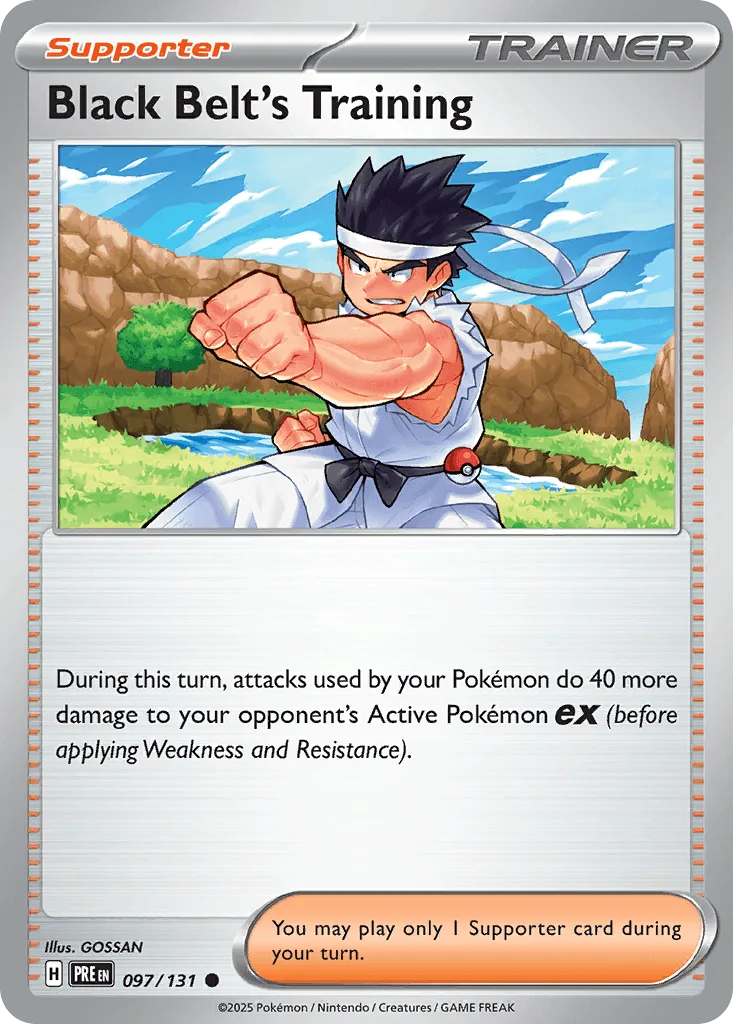 Black Belt's Training  (Poke Ball) 