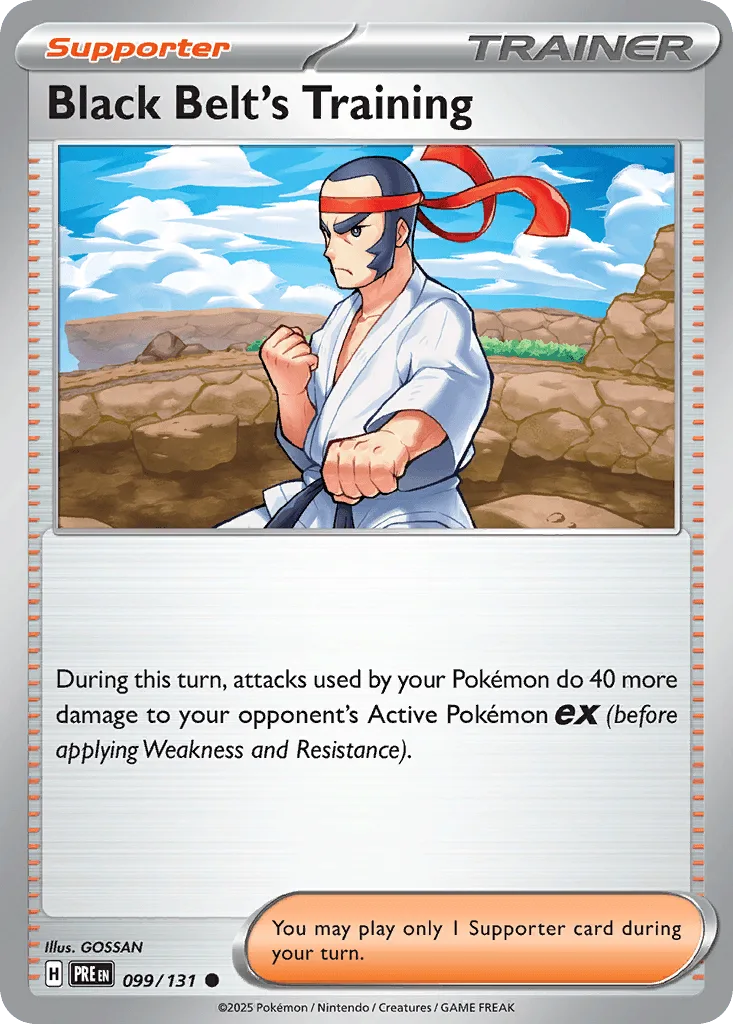 Black Belt's Training  (Poke Ball) 