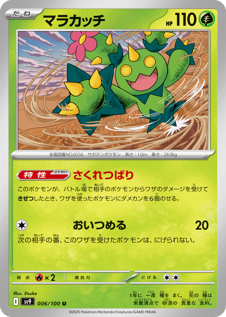 Maractus