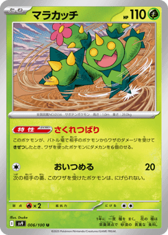 Maractus