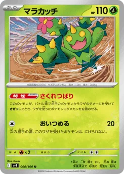 Maractus