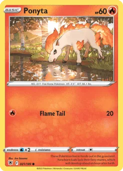 Ponyta