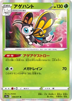 Beautifly