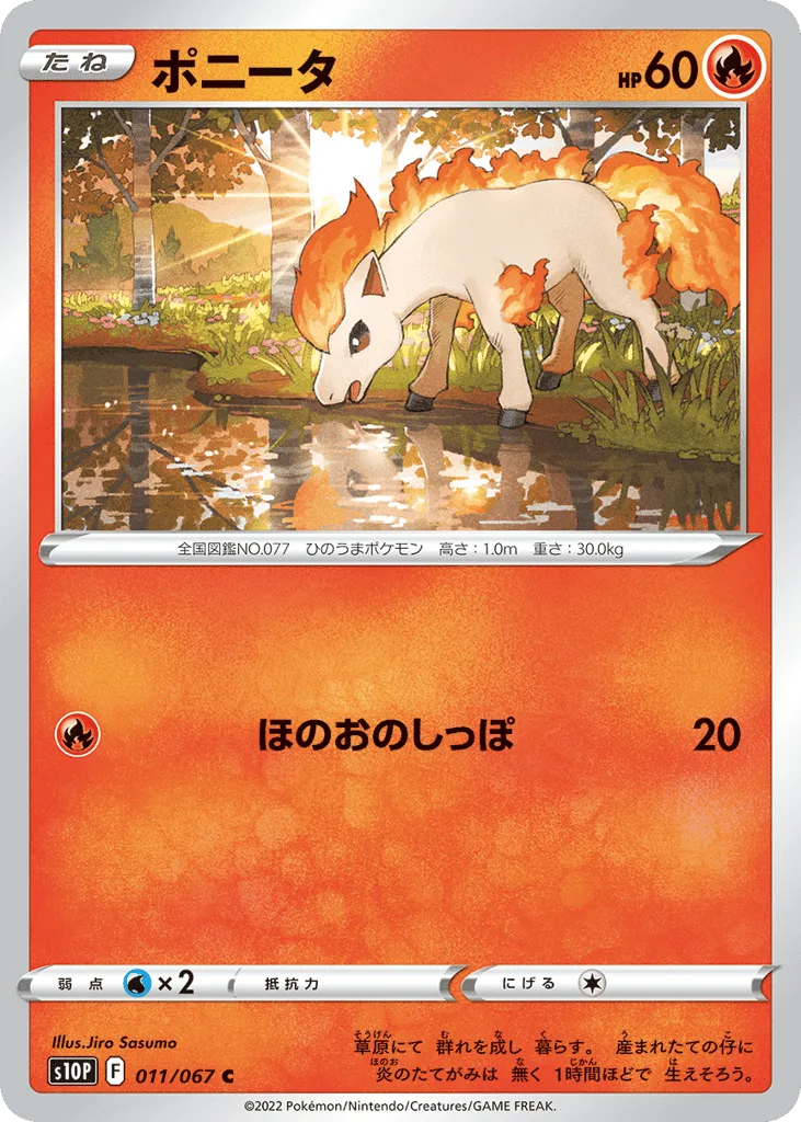 Ponyta