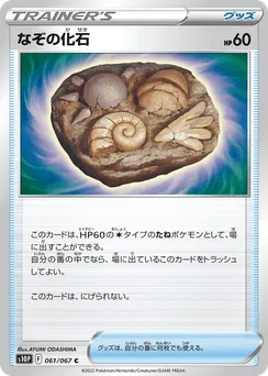 Unidentified Fossil